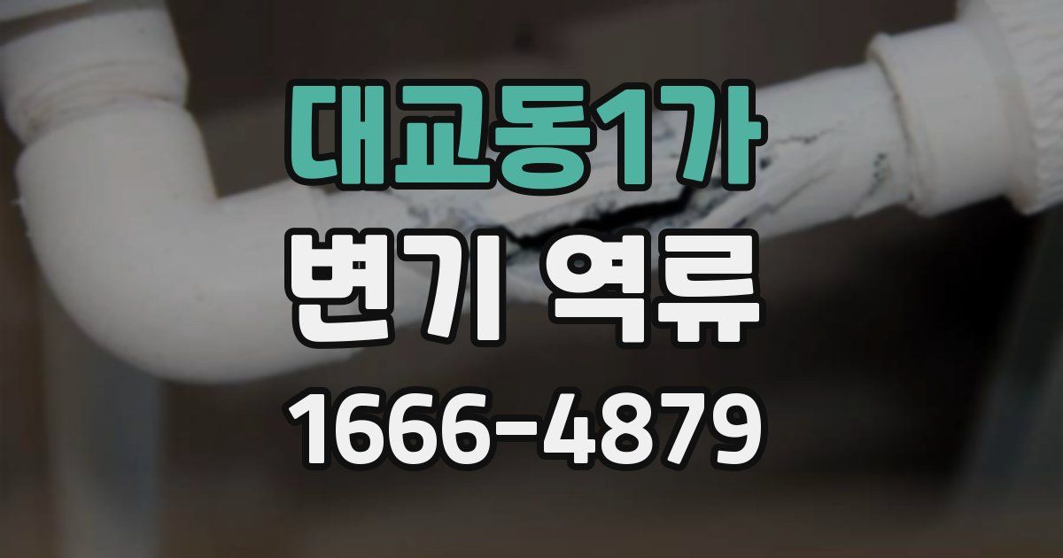 대교동1가 변기 역류
