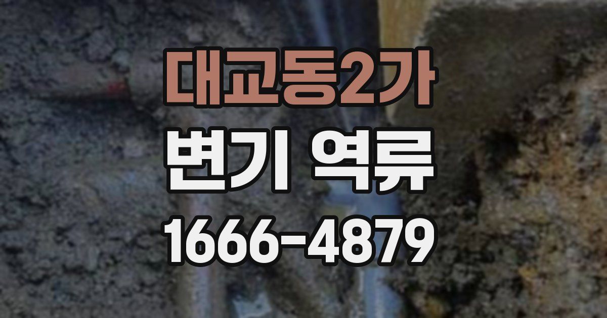 대교동2가 변기 역류