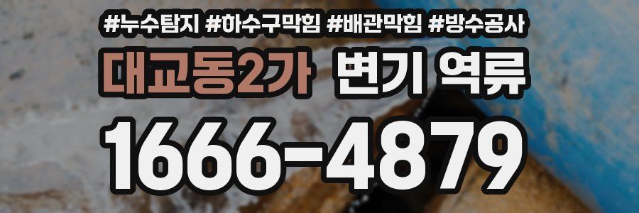 대교동2가 변기 역류