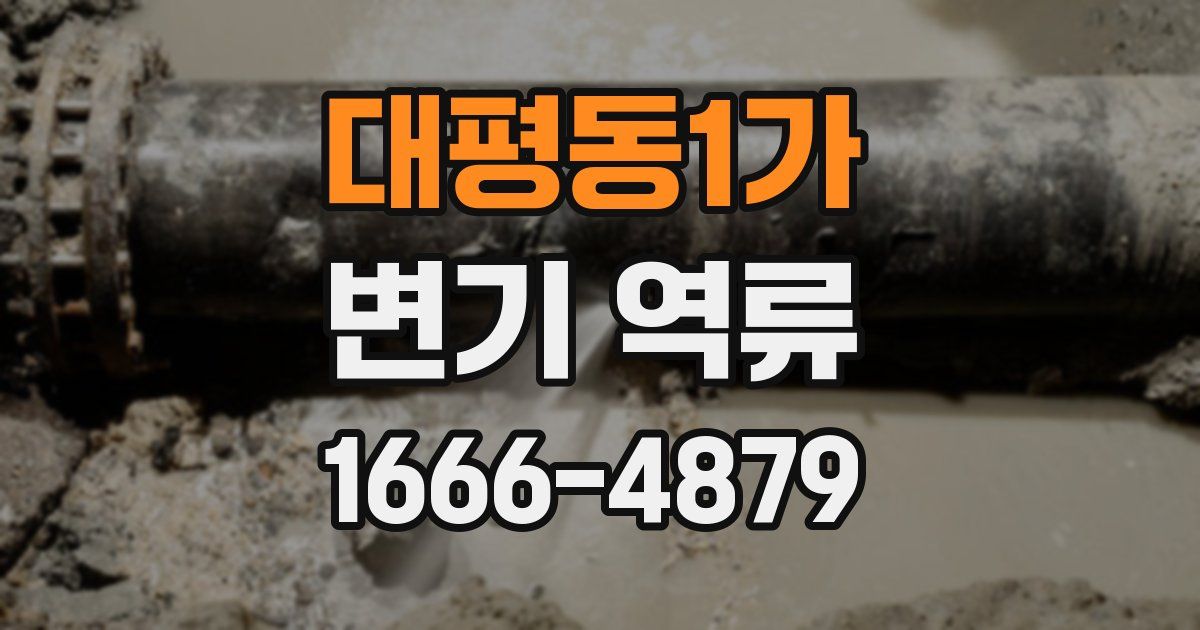 대평동1가 변기 역류