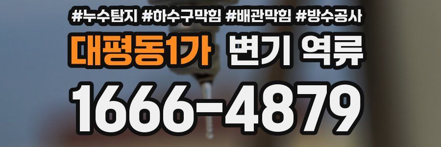 대평동1가 변기 역류