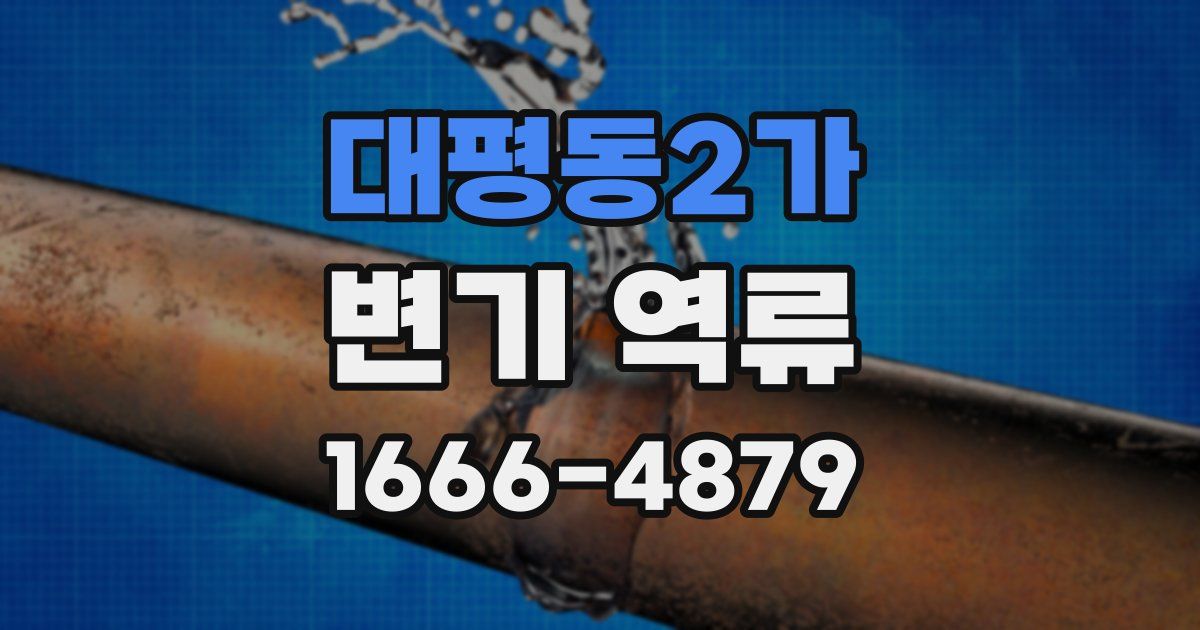 대평동2가 변기 역류