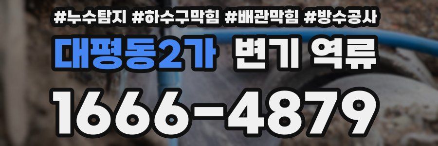 대평동2가 변기 역류