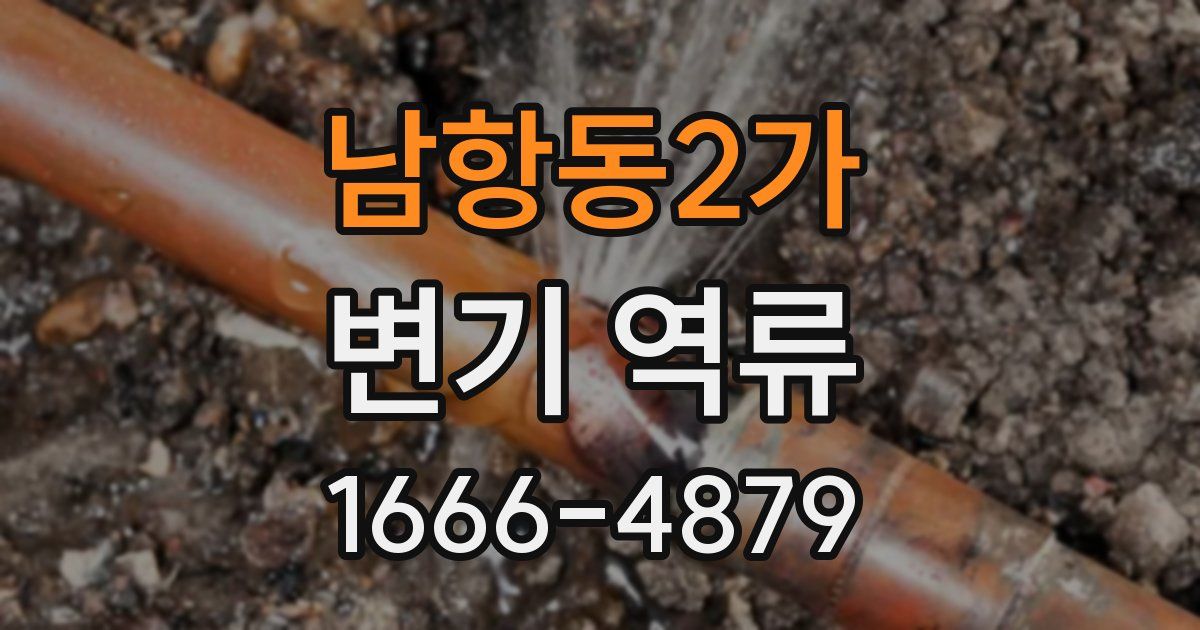 남항동2가 변기 역류