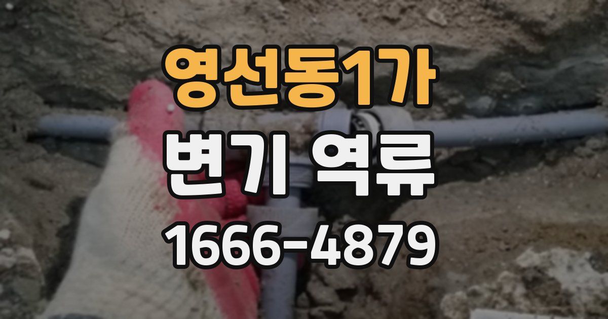 영선동1가 변기 역류