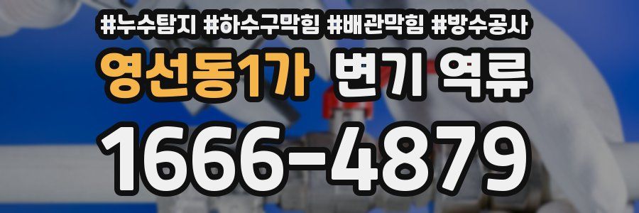 영선동1가 변기 역류