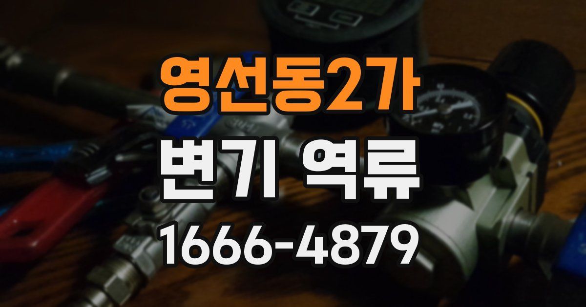 영선동2가 변기 역류