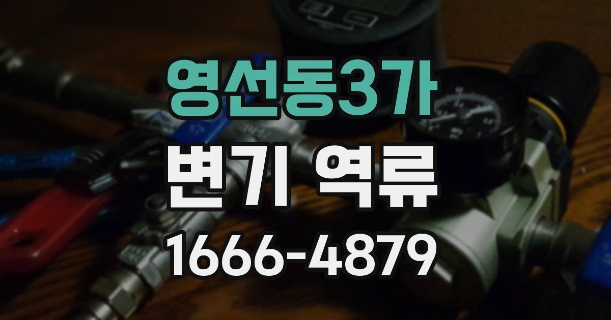 영선동3가 변기 역류