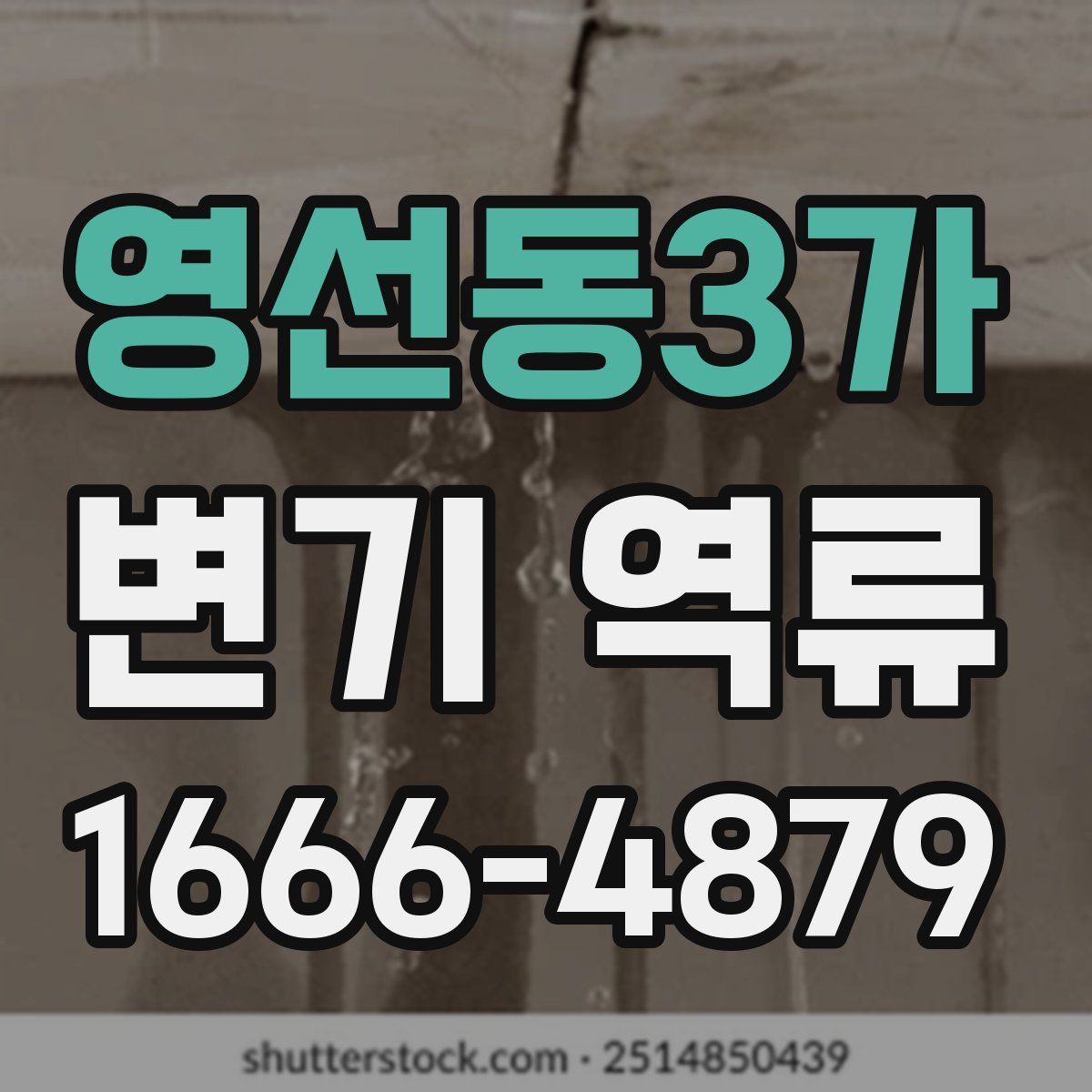 영선동3가 변기 역류