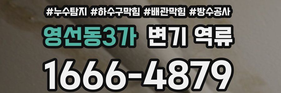 영선동3가 변기 역류