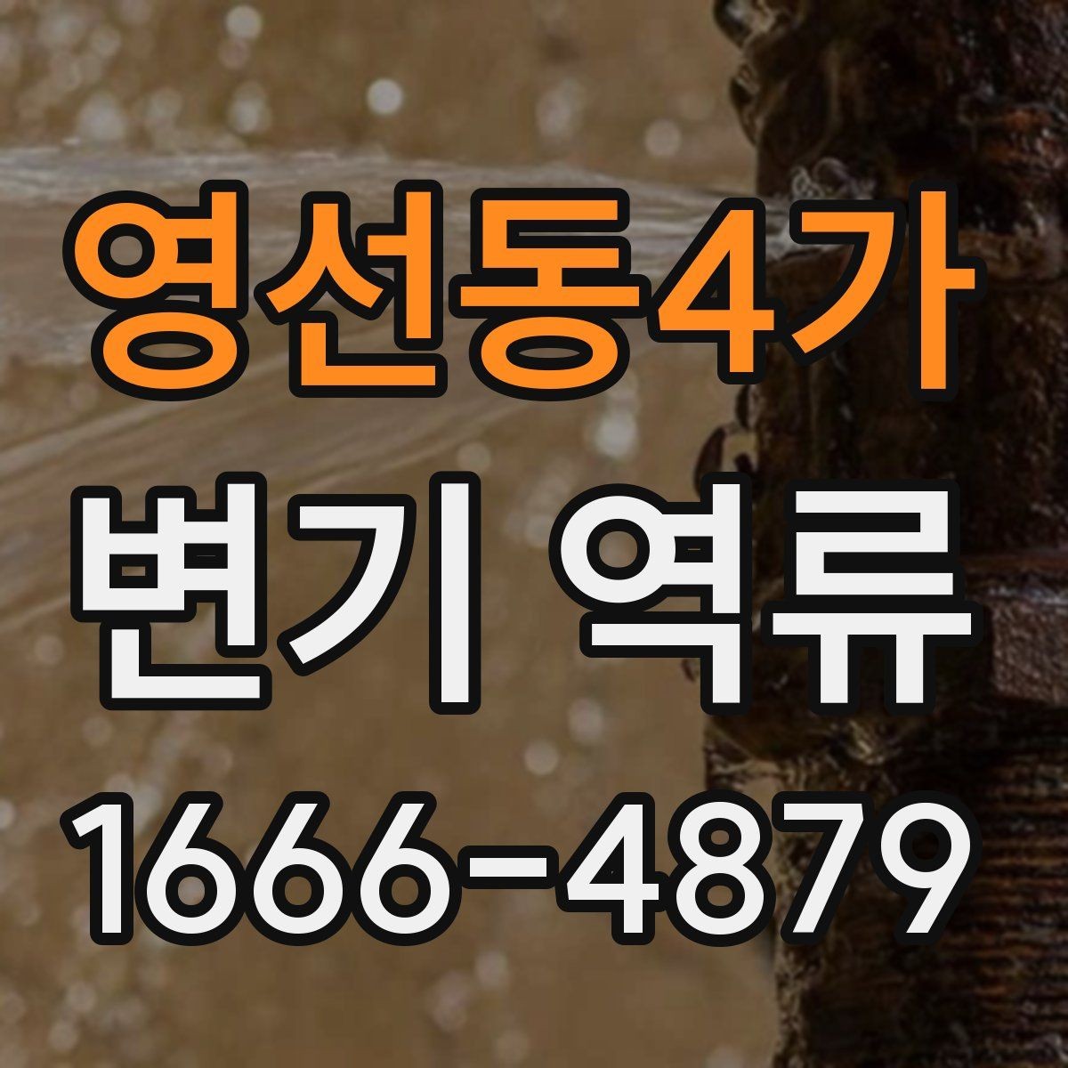 영선동4가 변기 역류 물이 역으로 흐를 때 확인할 배관 상태