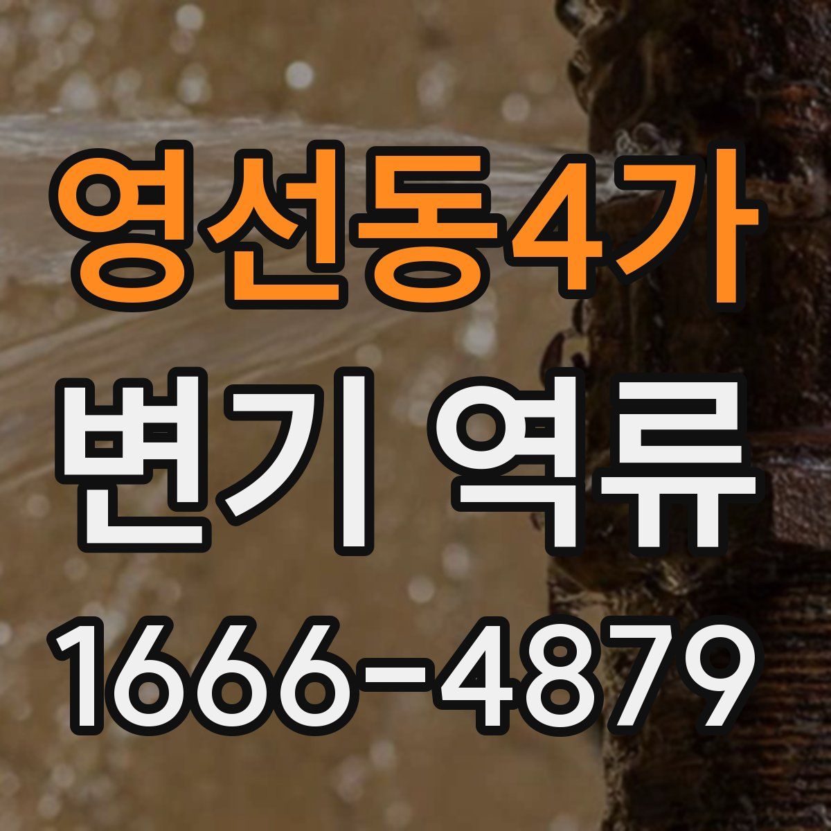 영선동4가 변기 역류