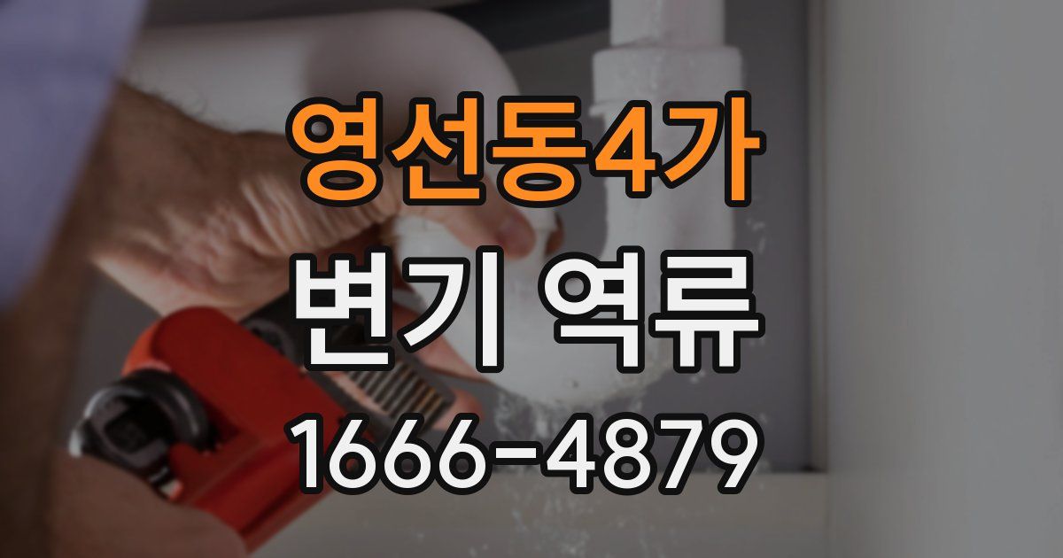영선동4가 변기 역류