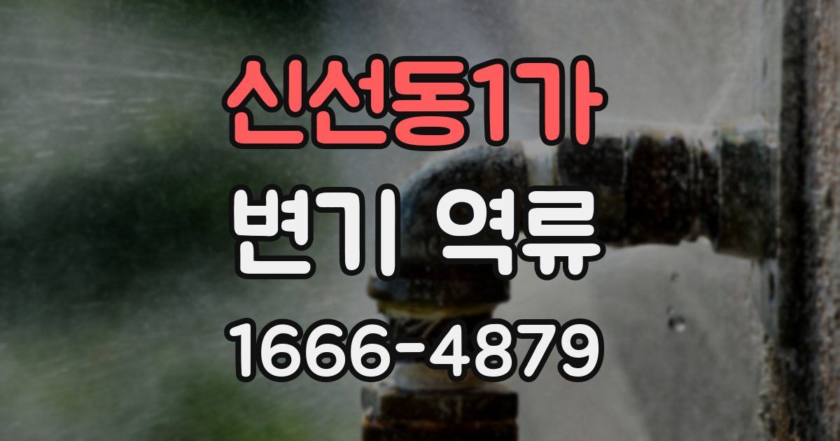 신선동1가 변기 역류