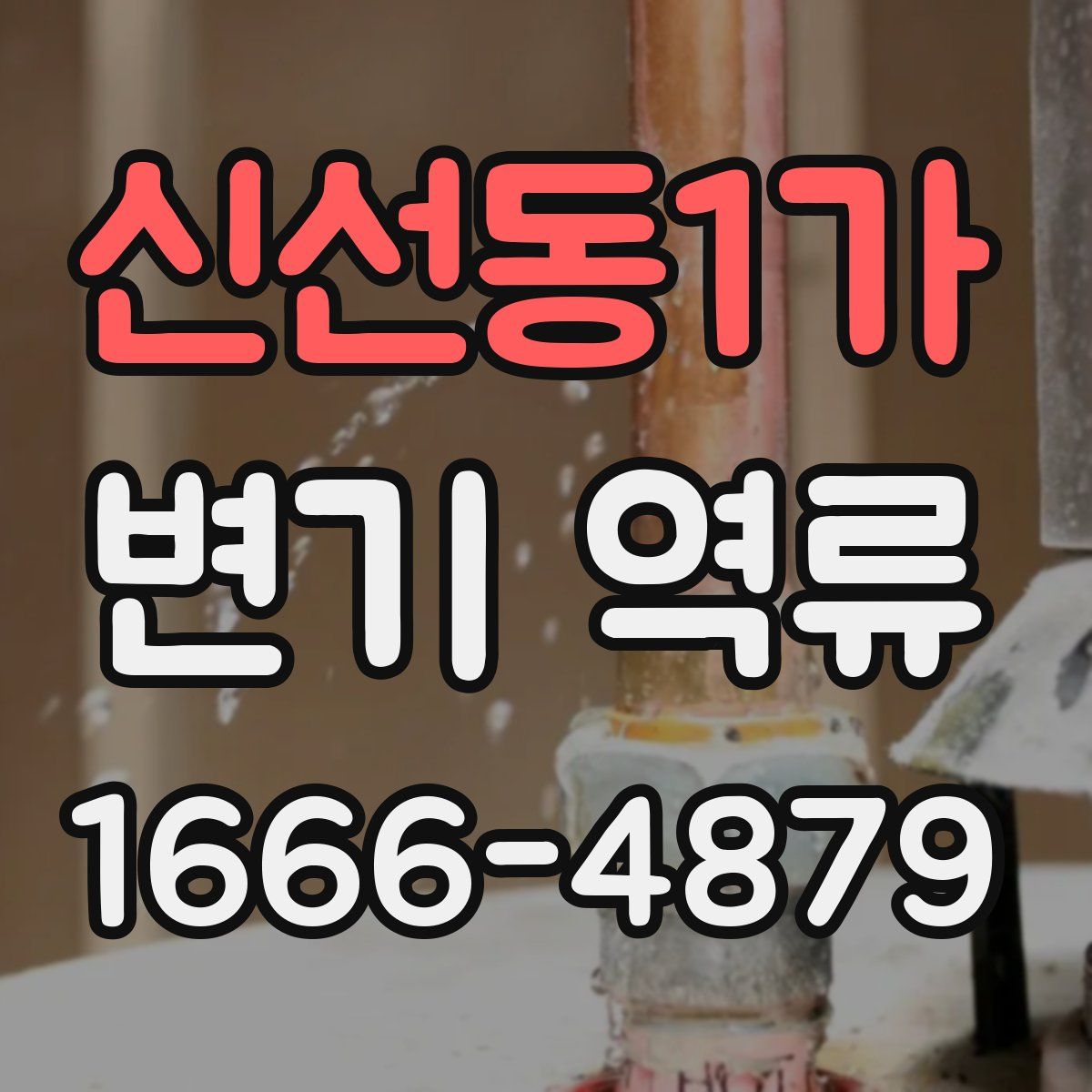 신선동1가 변기 역류