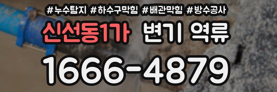 신선동1가 변기 역류