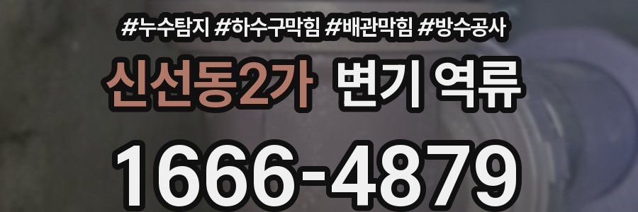 신선동2가 변기 역류