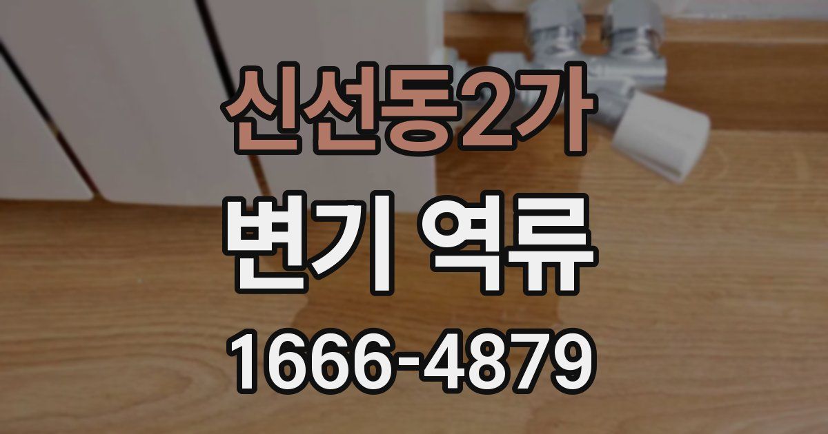 신선동2가 변기 역류