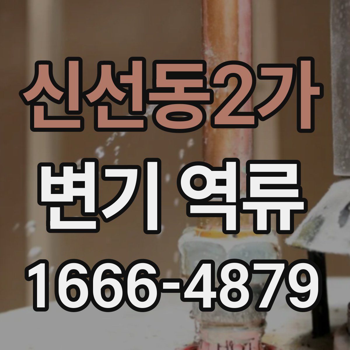 신선동2가 변기 역류