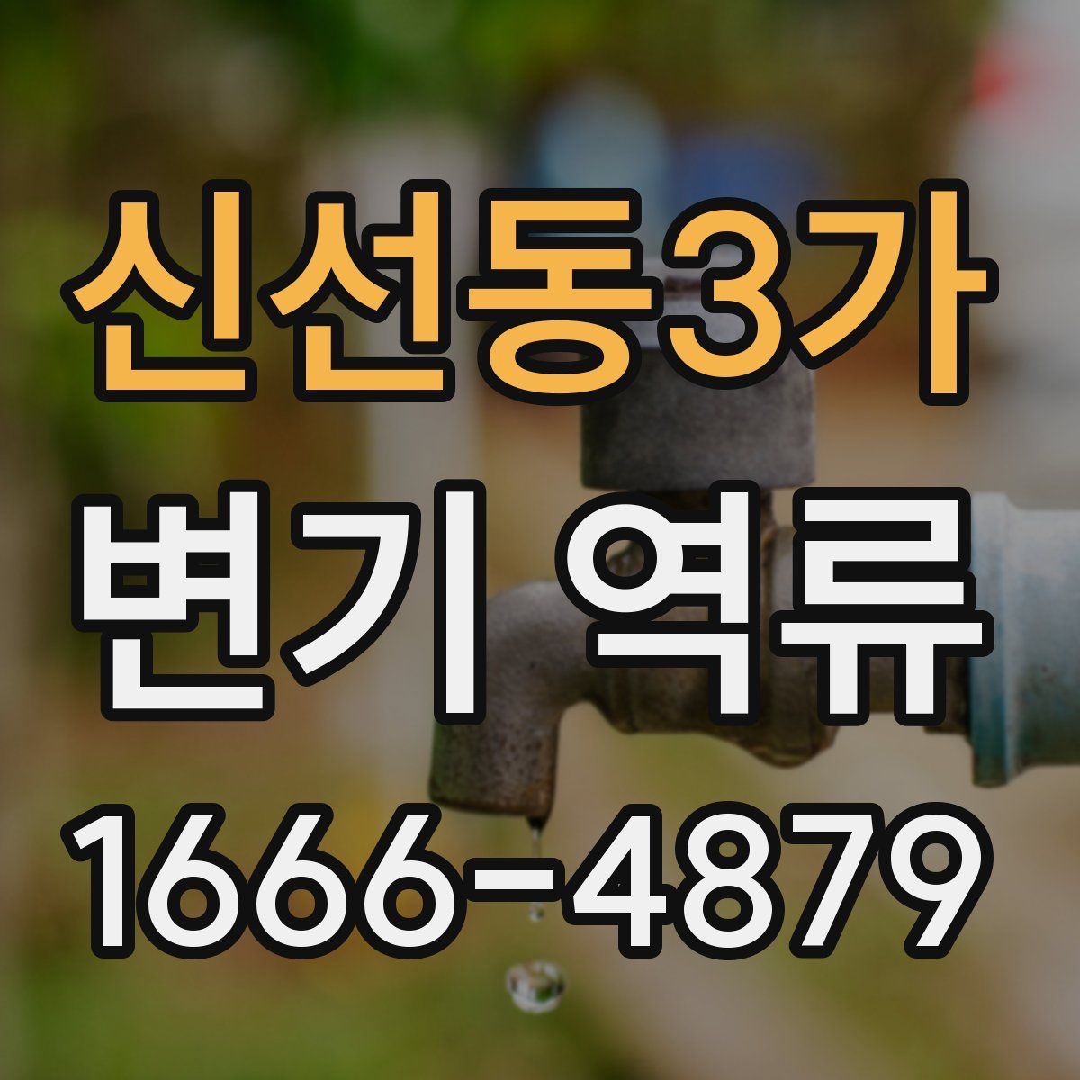 신선동3가 변기 역류