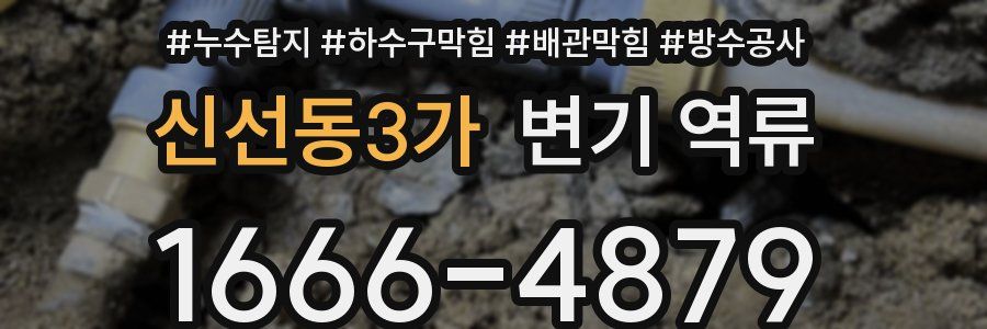 신선동3가 변기 역류