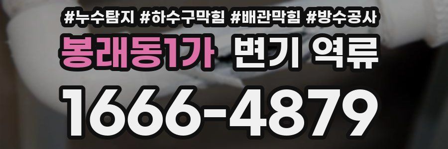 봉래동1가 변기 역류