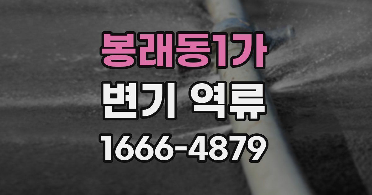 봉래동1가 변기 역류