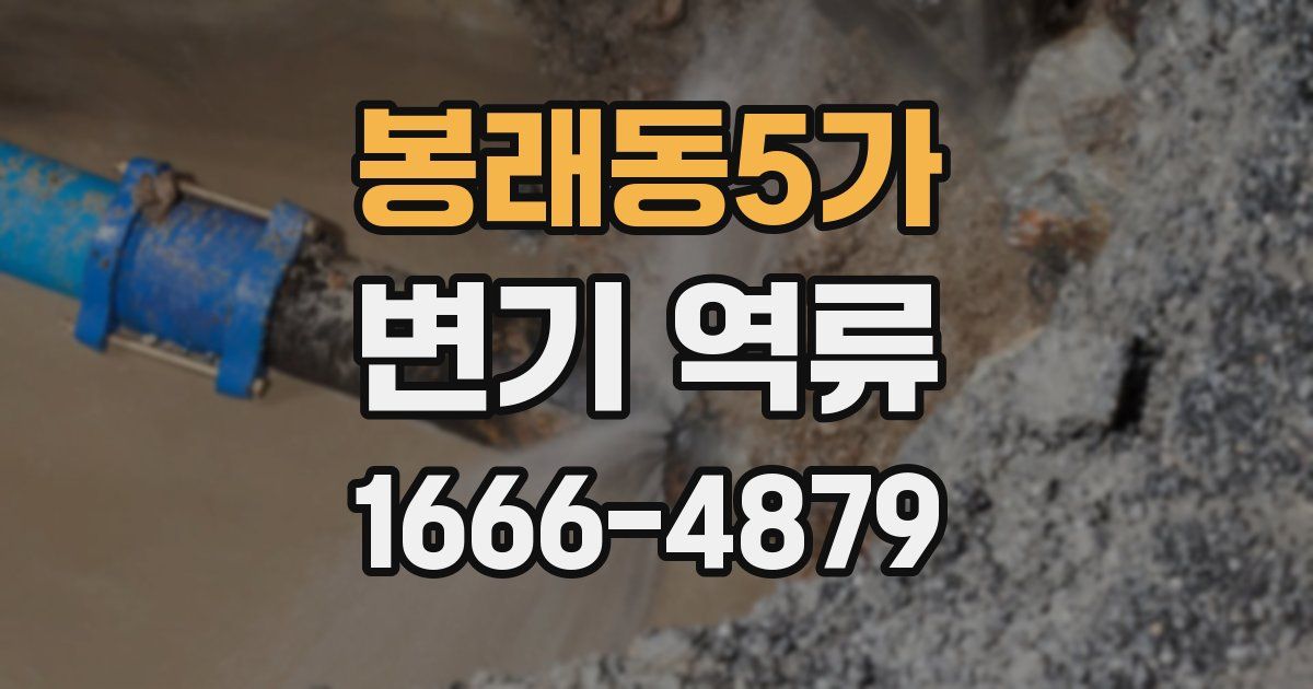 봉래동5가 변기 역류