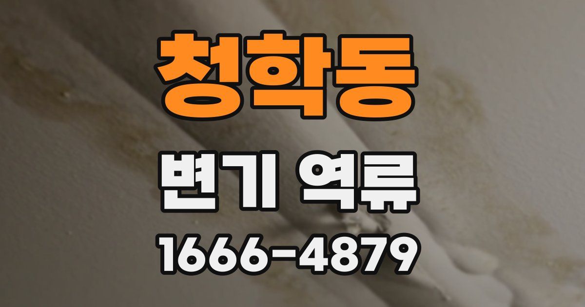 청학동 변기 역류