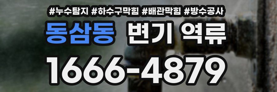 동삼동 변기 역류