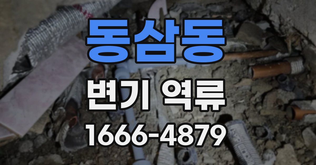 동삼동 변기 역류