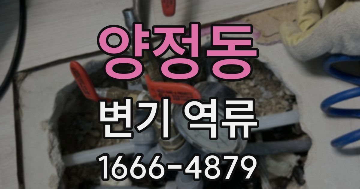 양정동 변기 역류