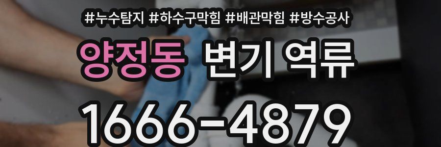 양정동 변기 역류