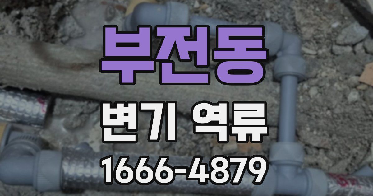 부전동 변기 역류