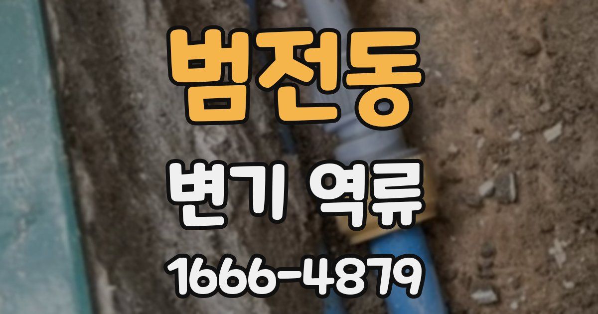 범전동 변기 역류