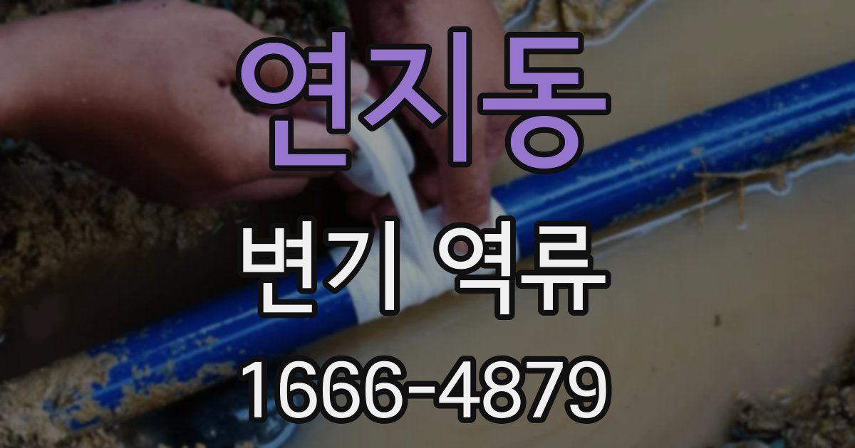 연지동 변기 역류