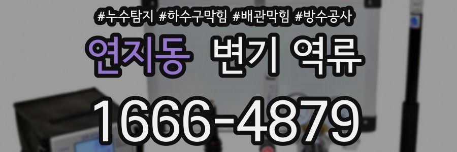 연지동 변기 역류