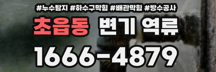 초읍동 변기 역류
