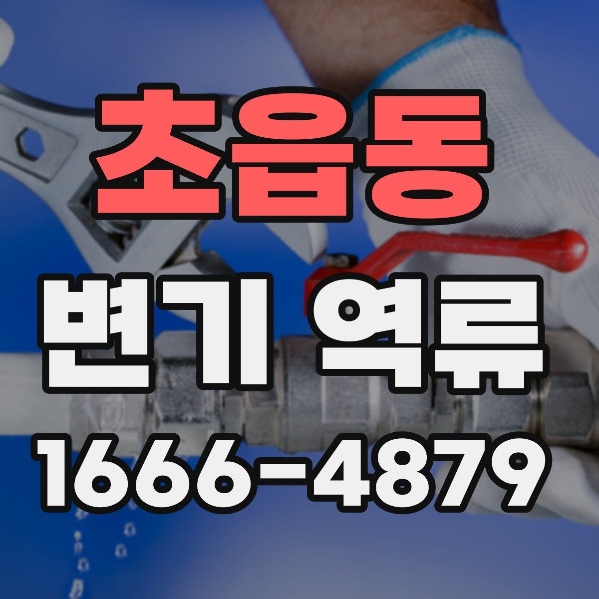 초읍동 변기 역류