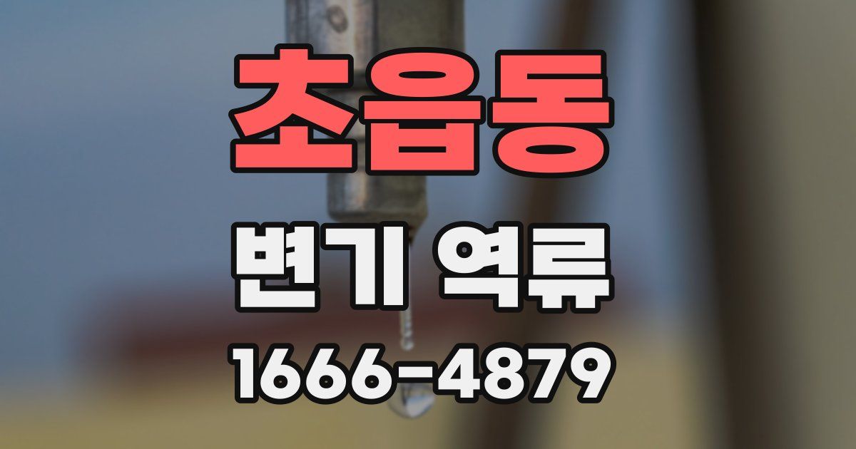 초읍동 변기 역류