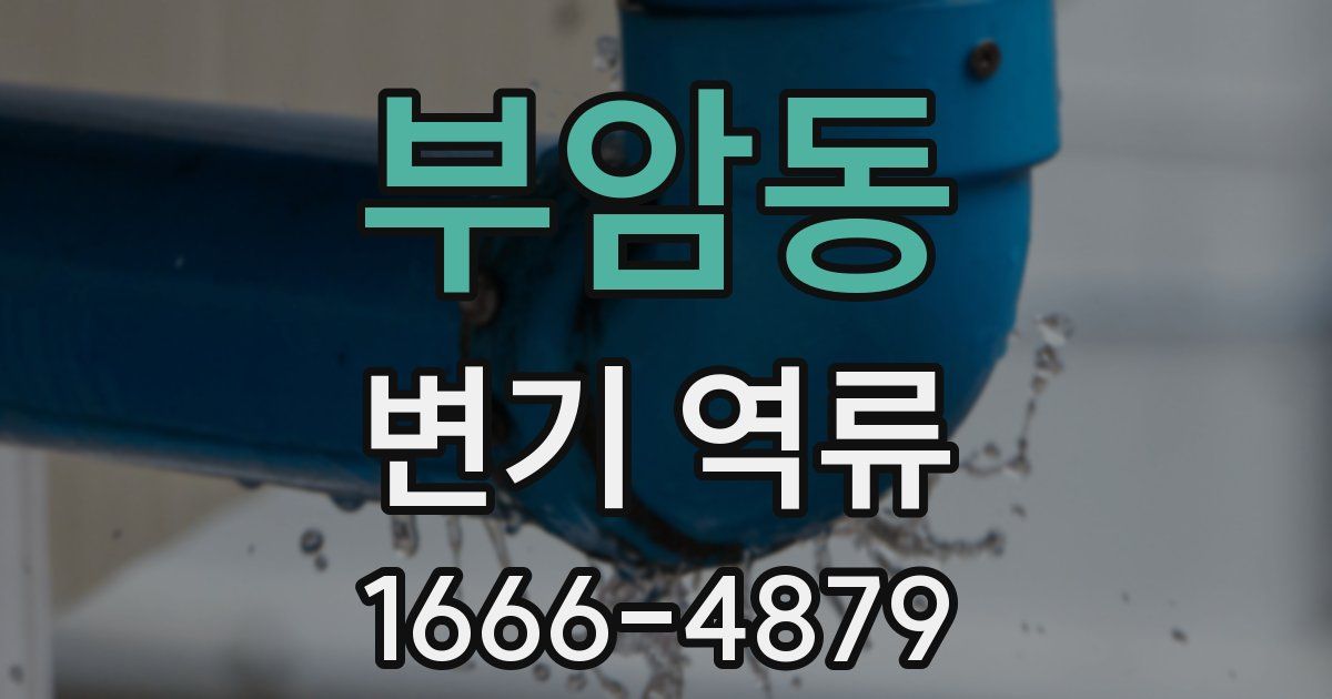 부암동 변기 역류