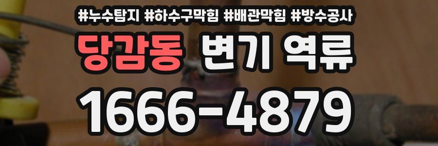 당감동 변기 역류