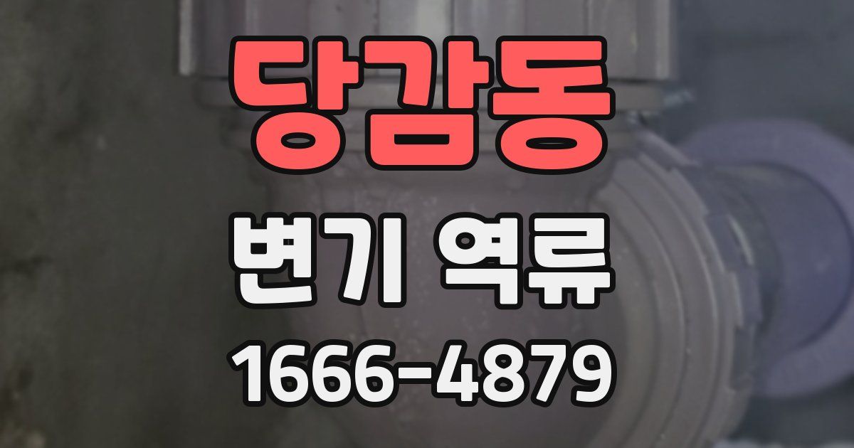 당감동 변기 역류