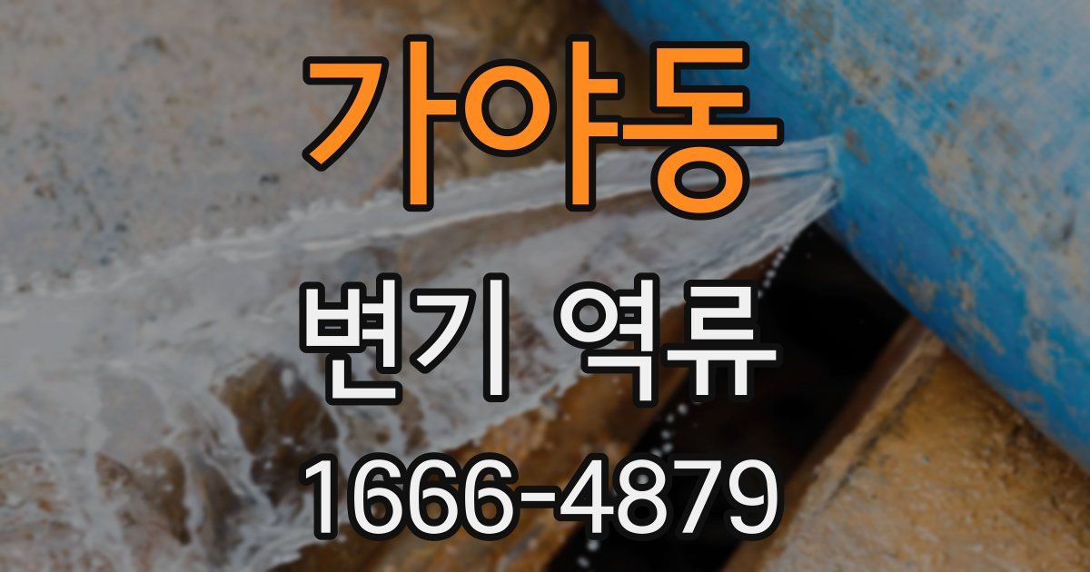 가야동 변기 역류