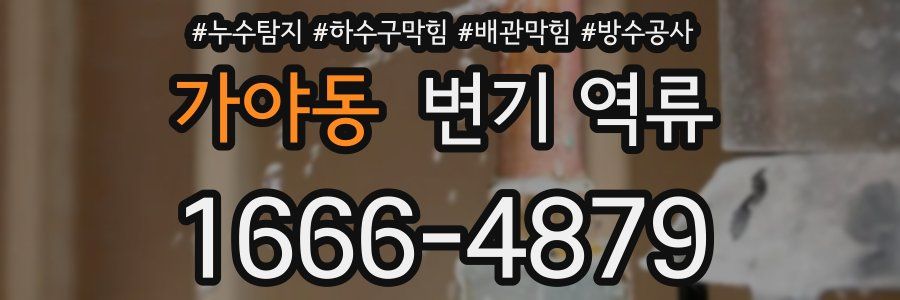 가야동 변기 역류
