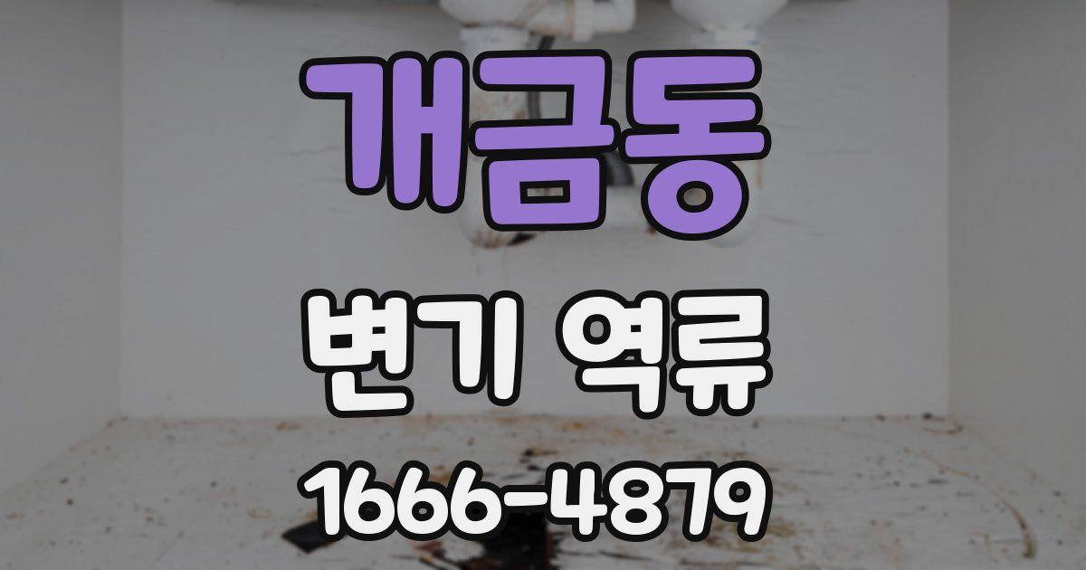 개금동 변기 역류