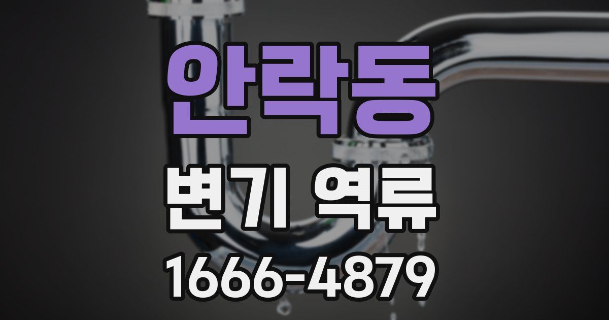 안락동 변기 역류