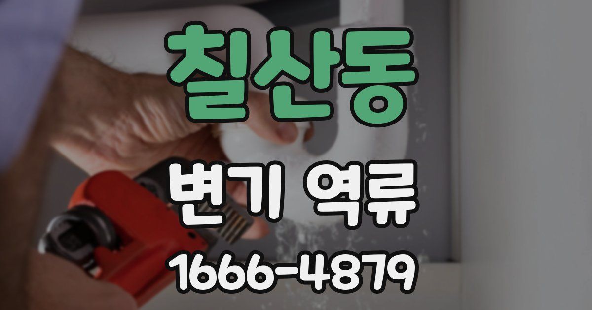칠산동 변기 역류
