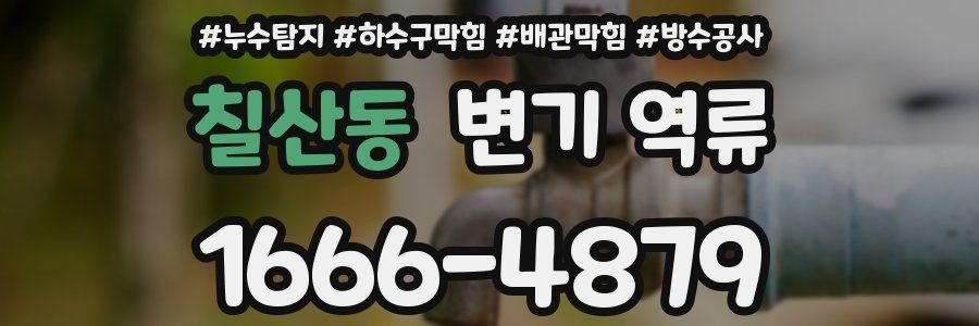 칠산동 변기 역류