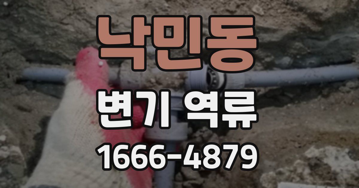 낙민동 변기 역류